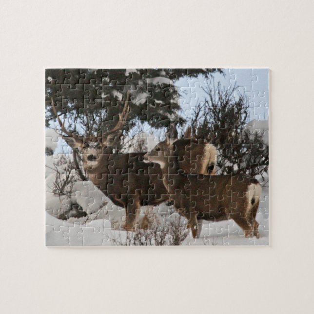 Puzzle Tres puntos grande (Horizontal)