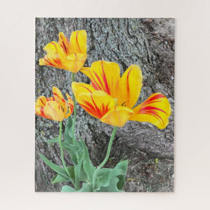 Puzzle Tres Tulipanes Amarillos Secuencia /