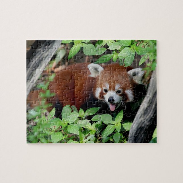 Puzzle Tricksy Red Panda (Horizontal)