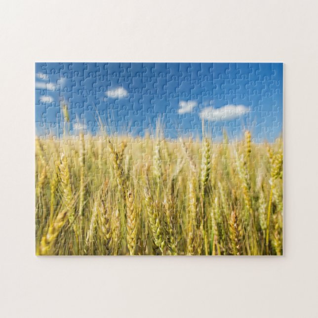 Puzzle Trigo de Kansas (Horizontal)