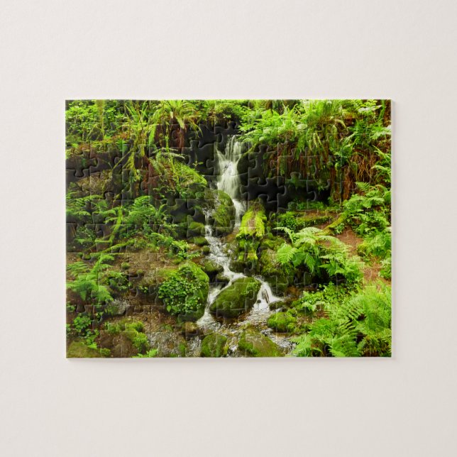Puzzle Trillium Falls en el Parque Nacional Redwood (Horizontal)