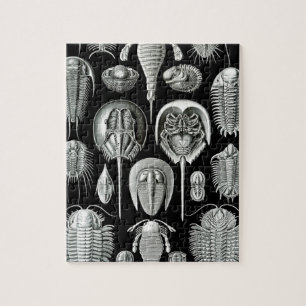 Puzzle Trilobites y fósiles en blanco y negro