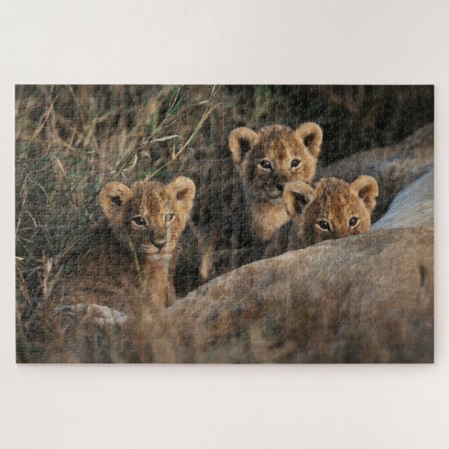 Puzzle Trío de cachorros de león con su madre (Horizontal)