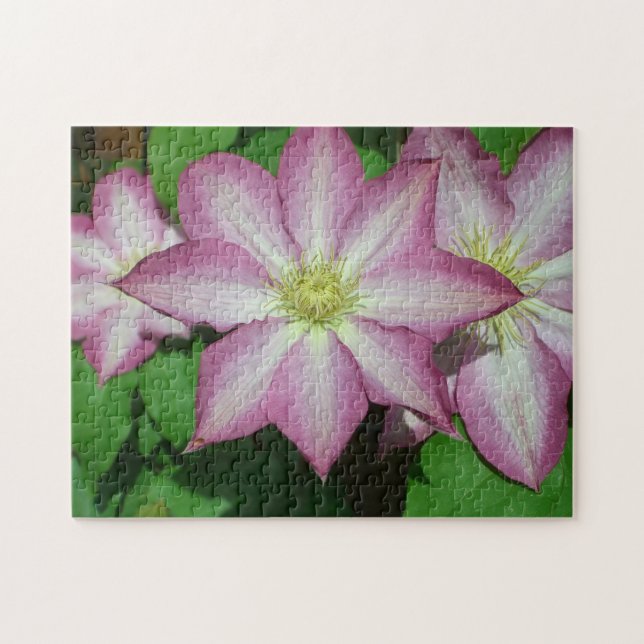 Puzzle Trio of Clematis Pink and White Spring Vine (Horizontal)