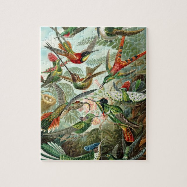 Puzzle Trochilidae de Haeckel (Vertical)