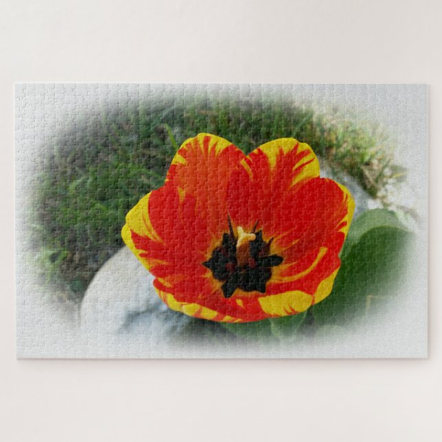 Puzzle Tromboidae amarillo rojo (Horizontal)