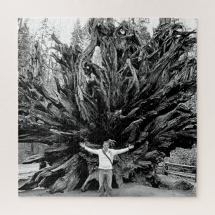 Puzzle Tronco de árbol de Sequioa de ángulo amplio - 20x2