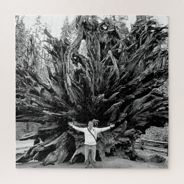 Puzzle Tronco de árbol de Sequioa de ángulo amplio - 20x2 (Vertical)