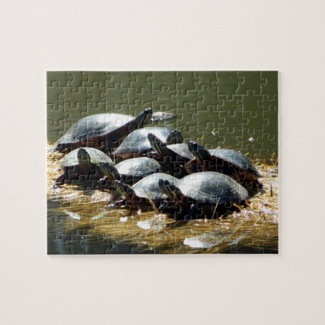 Puzzle Troya de Tortuga (Horizontal)