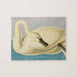 Puzzle Trumpeter Swan de John James Audubon, ave vintage