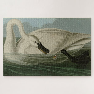 Puzzle Trumpeter Swan - de los pájaros de Estados Unidos