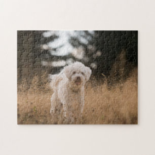 Puzzle Tu foto personalizada