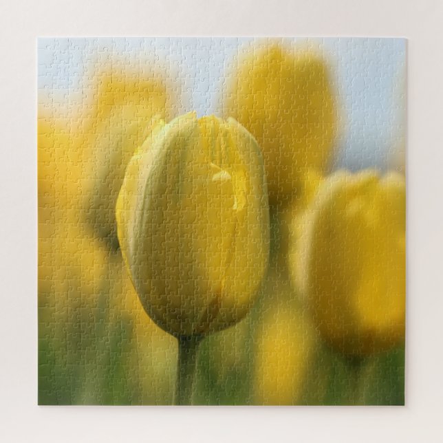 Puzzle Tuercas brillantes (Vertical)