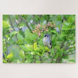 Puzzle Tufted Titmouse
