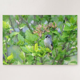 Puzzle Tufted Titmouse