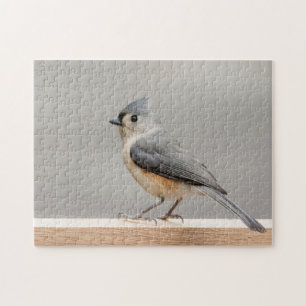 Puzzle Tufted Titmouse