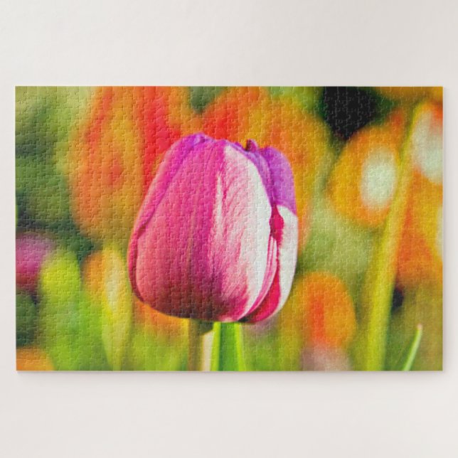 Puzzle Tulip Collage (Horizontal)