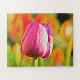 Puzzle Tulip Collage