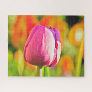 Puzzle Tulip Collage