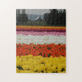 Puzzle Tulip Fields Puzzle, 11" x 14", 252 pieces
