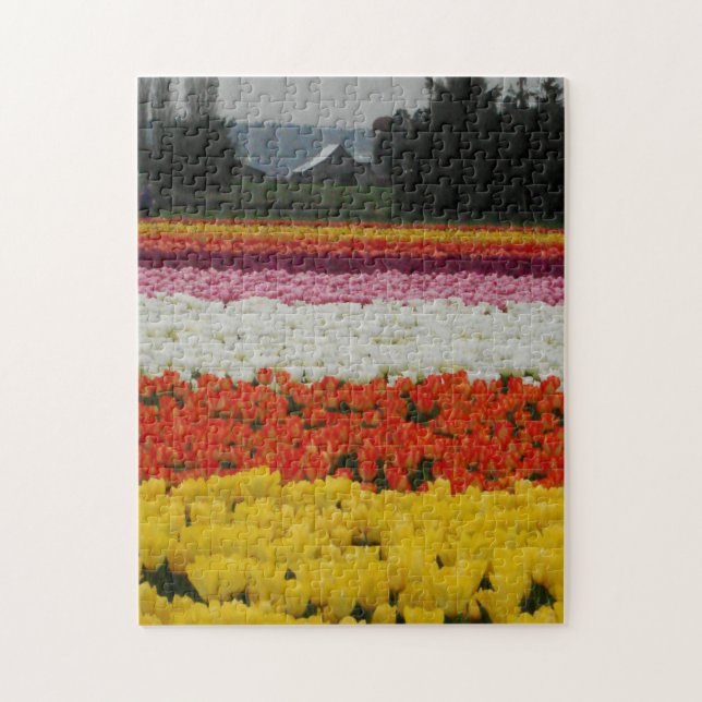 Puzzle Tulip Fields Puzzle, 11" x 14", 252 pieces (Vertical)