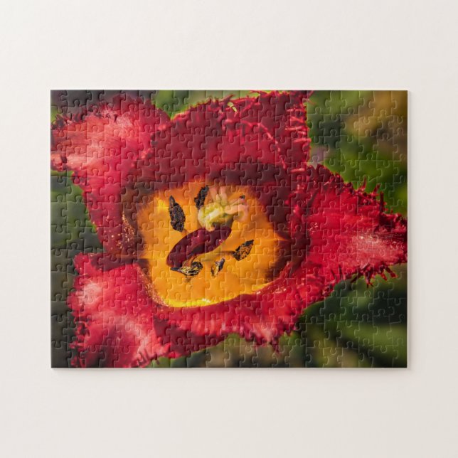 Puzzle Tulip rojo (Horizontal)