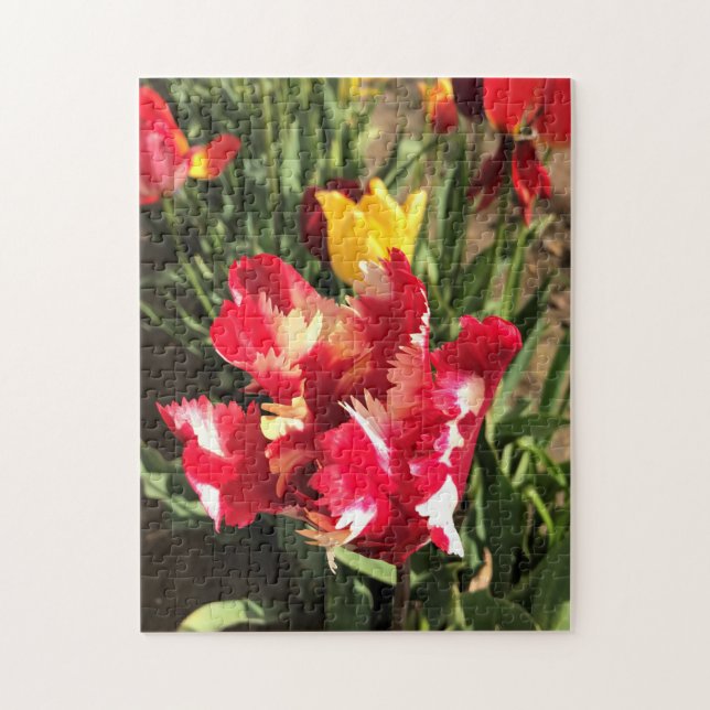 Puzzle Tulip rojo y blanco único (Vertical)