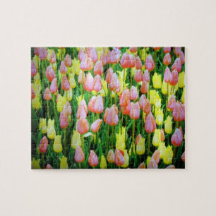 Puzzle tulipán