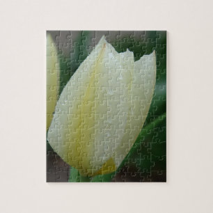 Puzzle Tulipán Después De La Lluvia