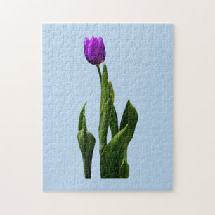 Puzzle Tulipán púrpura simple