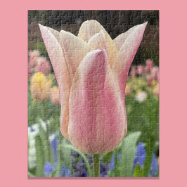 Puzzle Tulipán solitario en el jardín del Valle de Skagit