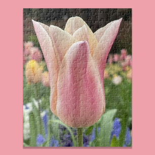 Puzzle Tulipán solitario en el jardín del Valle de Skagit