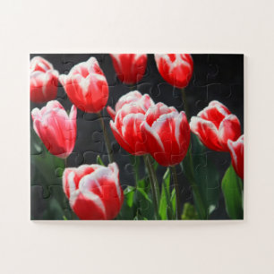 Puzzle Tulipanes 30-pc
