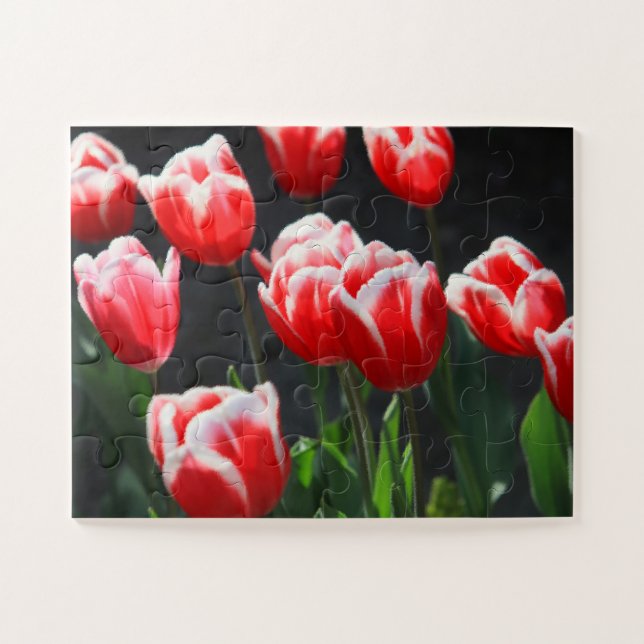 Puzzle Tulipanes 30-pc (Horizontal)