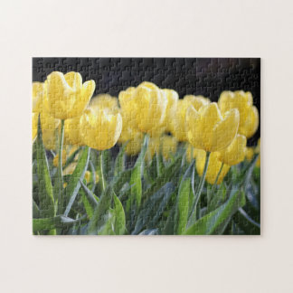 Puzzle Tulipanes amarillos