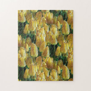 Puzzle Tulipanes amarillos brillantes