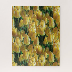 Puzzle Tulipanes amarillos brillantes
