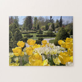 Puzzle Tulipanes amarillos del Arboretum Volcji Potok Esl