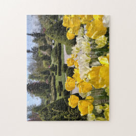 Puzzle Tulipanes amarillos del Arboretum Volcji Potok Esl