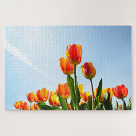 Puzzle Tulipanes anaranjados y rojos de debajo