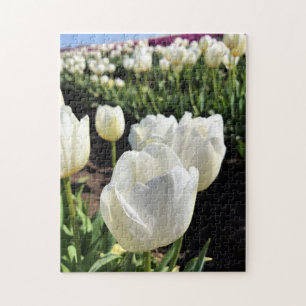 Puzzle Tulipanes blancos en un campo, Woodburn, Oregón