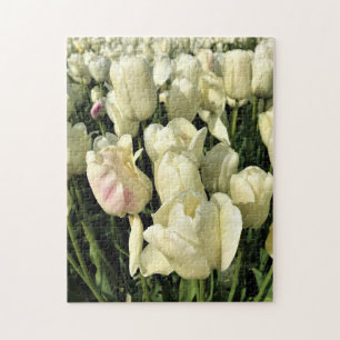 Puzzle Tulipanes blancos, Oregón