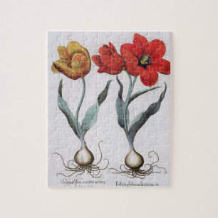 Puzzle Tulipanes: colore del cinnabrio del serotina del