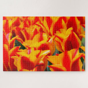 Puzzle Tulipanes de Ámsterdam.