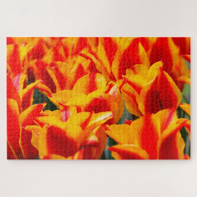 Puzzle Tulipanes de Amsterdam. (Horizontal)