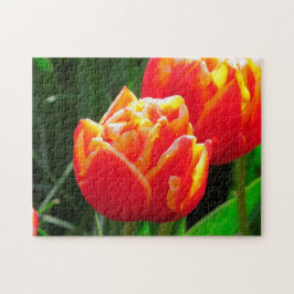 Puzzle Tulipanes de Amsterdam.