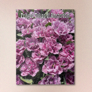 Puzzle Tulipanes de Flecos Purpura de Ámsterdam Rompecabe