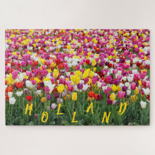 PUZZLE TULIPANES DE HOLANDA