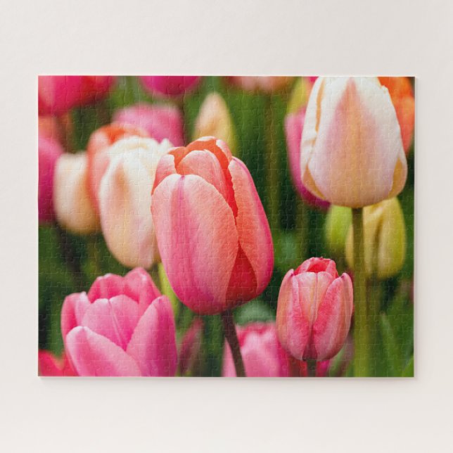 Puzzle Tulipanes de primavera (Horizontal)