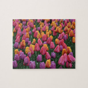 Puzzle Tulipanes de primavera coloridos